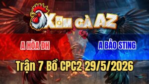 Trận 7 CPC2 29/5/2026: Anh Bảo Sting Sửa Gà Phản 5 Lai Đẳng Cấp