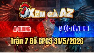 Trận 7 CPC3 31/5/2026: Điều Anh Quang Đá Đúng 1 Chân Lụm Tiền Mau Lẹ