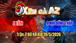 Trận 7 Bồ Xà Xía 19/5/2026 - Gà Xanh Nhẹ Ký Hơn Đá Như Sấm Sét Đỏ Gồng Mém Lật Ngược Lại Thế Cờ