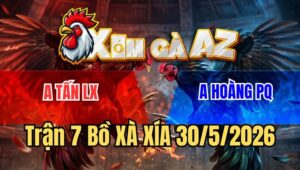 Trận 7 Xà Xía 30/5/2026: Úa Nạp Cặp Ngực Bướm Té Chết Dưới Chân