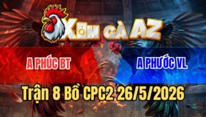 Trận 8 CPC2 26/5/2026: Gà Cú Siêu Trâu Gồng Mình Chịu Đòn Phản Ăn 2