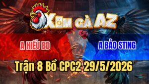 Trận 8 CPC2 29/5/2026: Gà Bướm Bảo Sting Kém 5 Chấm Lại Gồng Phản Ăn 1