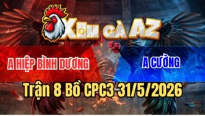 Trận 8 CPC3 31/5/2026: Khét Anh Cương May Mắn Có Chân Bà Độ Cứu Anh Em