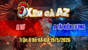 Trận 8 Bồ Xà Xía 19/5/2026 - Gà Đỏ Vào Sân Đá Quá Đá Vô Tình Đâm Lọt Cặp Ngực Xanh Té Chết Tại Chỗ