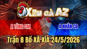 Trận 8 Xà Xía 24/5/2026: Gà Bướm Anh Tùng Xuyên Thủng Tim Đối Thủ