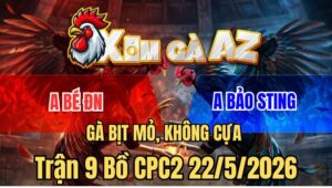 Trận 9 CPC2 22/5/2026: Idol Bảo Sting Thắng Trận Gà Kèo Độc Lạ Thomo