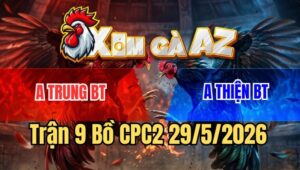 Trận 9 CPC2 29/5/2026: Điều Vàng Anh Kiểm Đâm Bướm Hư Giò Đứng Hết Nổi