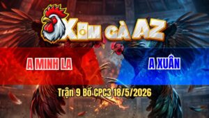 Trận 9 Bồ CPC3 18/5/2026 - Xanh Vào Nạp Như Khủng Bố Nhưng Không Ăn Được Đỏ Má Minh Cầm Hòa Thành Công