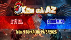 Trận 9 Bồ Xà Xía 19/5/2026 - Gà Xanh Chồng Độ Còn Chấp Ký Lên Tới 7 Chấm Buông Ra Đá 3 Chân Đỏ Nằm Tuyệt Đối