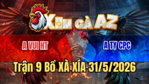 Trận 9 Xà Xía 31/5/2026: Điều Đá Bo Khủng, Bướm Quay Đầu Tháo Chạy