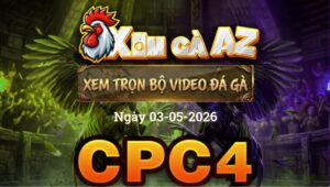Xem Full Video Đá Gà CPC4 Ngày 03/05/2026