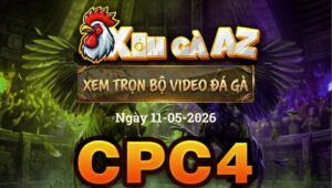 Xem Full Video Đá Gà CPC4 Ngày 11/05/2026