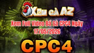 Xem Full Video Đá Gà CPC4 Ngày 17/05/2026