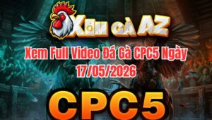Xem Full Video Đá Gà CPC5 Ngày 17/05/2026