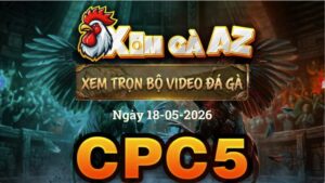 Xem Full Video Đá Gà CPC5 Ngày 18/05/2026
