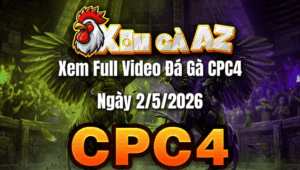 Xem Full Video Đá Gà CPC4 Ngày 02/05/2026
