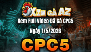 Xem Full Video Đá Gà CPC5 Ngày 01/05/2026