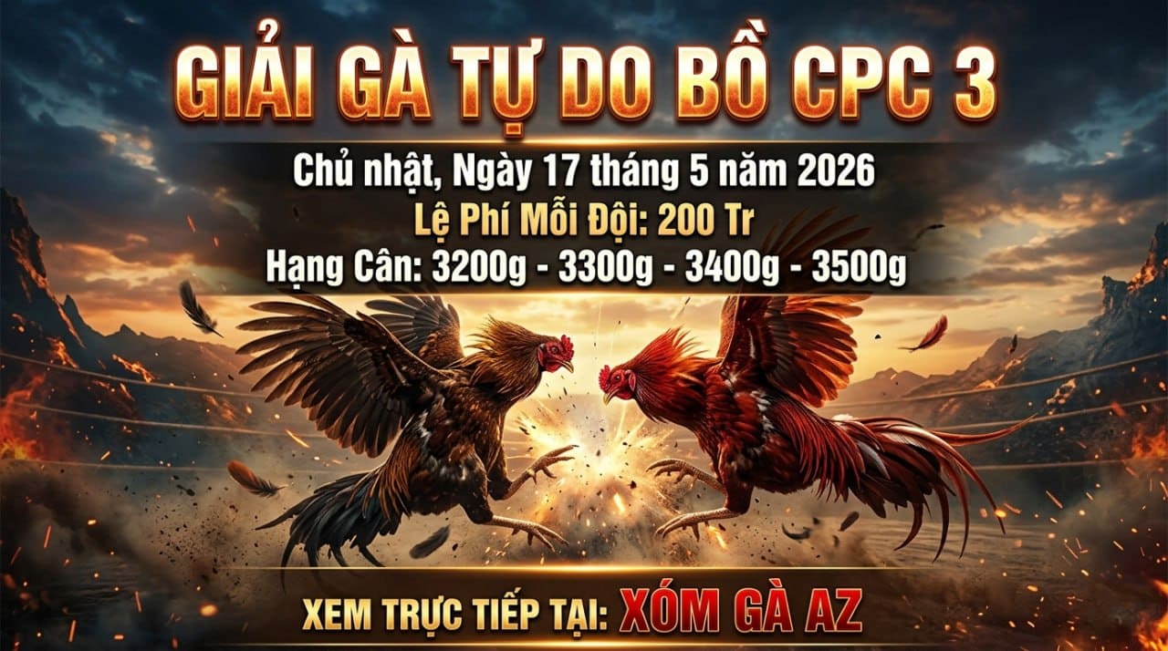 giai c3 1