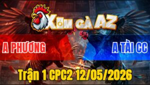 Trận 1 CPC2 12/05/2026 - Xanh Nhỏ Hơn Dí Bạc Bố Láo Và Cái Kết Đem ĐI Nấu Cháo