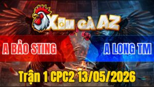 Trận 1 CPC2 13/05/2026 - Vừa Nhập Vô Cú Đá Bướm Idol Gyax Dò Thua Nhanh Lẹ