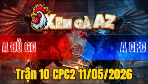 Trận 10 CPC2 11/05/2026 - Bướm Đá Cây Đâm Xanh Gãy Dò Thua Hết Phản