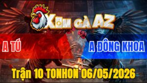 Trận 10 TONHON 06/05/2026 - Xanh Nạp Mấy Chân Khủng Bố Đâm Đỏ Lật Xuồng