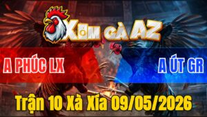 Trận 10 Xà Xía 09/05/2026 - Điều Đá Đòn Như Sấm Sét Úa Té Bưng Ra Nhanh Chóng