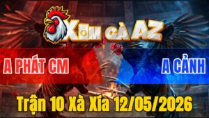 Trận 10 Xà Xía 12/05/2026 - Điều Tự TIn Buông Đuôi Đá Xanh Thua Gọn
