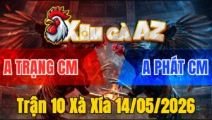 Trận 10 Xà Xía 14/05/2026 - Xanh Leo Mu Lưng Đỏ Ói Chết Tại Mức