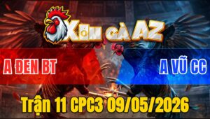 Trận 11 CPC3 09/05/2026 - Úa Đi Bộ Cũng Đâm Điều Hết Phép