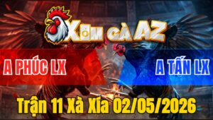 Trận 11 Xà Xía 02/05/2026 - Bướm Nạp Úa Hư Giò Hết Đứng
