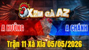 Trận 11 Xà Xía 05/05/2026 - Úa Đâm Đầu Cần Điều Ngán Cựa Buông Chạy