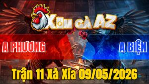 Trận 11 Xà Xía 09/05/2026 - Bướm Đâm Như Giang Hồ Điều Té Xe Hết Đứng