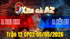 Trận 12 CPC2 05/05/2026 - Điều Lao Đá Chân Nào Cũng Đâm Xám Rinh Ra Nhanh Gọn