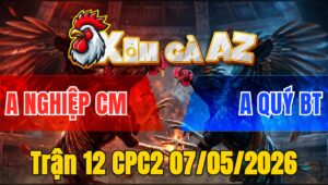 Trận 12 CPC2 07/05/2026 - Điều Bông Đâm Que Lật Xe Rồi Bỏ Đi Hòa Tiền