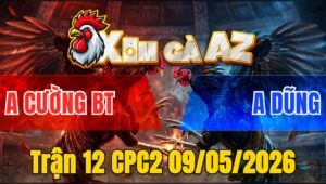 Trận 12 CPC2 09/05/2026 - Que Đá Bông Nhảy Xuống Sông Sau Mấy Đá