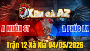 Trận 12 Xà Xía 04/05/2026 - Bướm Đá Đòn Như Xe Đụng Vài Chân Khét sửa Dãy Chết