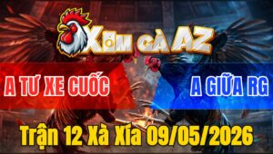 Trận 12 Xà Xía 09/05/2026 - Bướm Đâm Mu Lưng Xám Té Tại Chỗ
