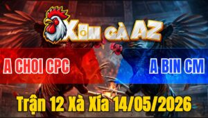 Trận 12 Xà Xía 14/05/2026 - Xanh Nạp Đỏ Dính Cựa Buông Chạy Nhanh Gọn