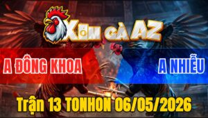 Trận 13 TONHON 06/05/2026 - Xanh Ra Cựa Khủng Đâm Đỏ Tuyệt Đối