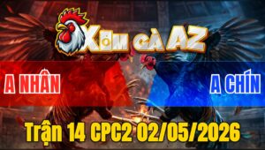 Trận 14 CPC2 02/05/2026 - Anh Kiểm Đẳng Cấp Có Trận Gà Phản Quá Hay