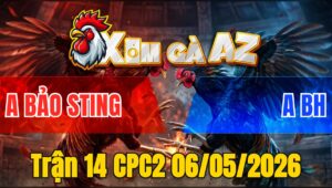 Trận 14 CPC2 06/05/2026 - Bướm Chơi Ngông Dí Bạc Gặp Idol Banh Xác