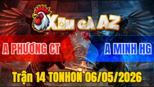 Trận 14 TONHON 06/05/2026 - Điều Phóng Bạc Ăn 5 Buông Ra Cú Đá Cho Bể Mình