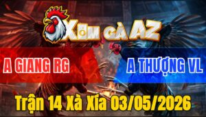 Trận 14 Xà Xía 03/05/2026 - Đỏ Dở Chân Là Thấy Cựa Xanh Té Xỉu Bưng Ra
