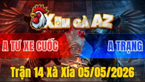 Trận 14 Xà Xía 05/05/2026 - Bướm Nạp Điều Hư Hình Bỏ Miệng Bưng Ra