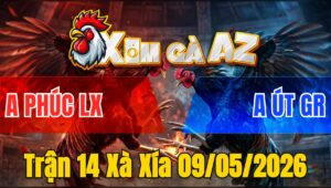 Trận 14 Xà Xía 09/05/2026 - Bướm Dở Chân Là Đâm Úa Té Lấy Tiền