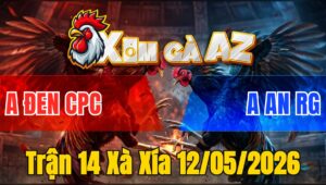 Trận 14 Xà Xía 12/05/2026 - Xanh Chấp Ẩu Và Cái Kết