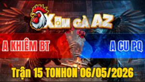 Trận 15 TONHON 06/05/2026 - Đỏ Đá Nhanh Như Chớp Hạ Xanh Gọn Gàng