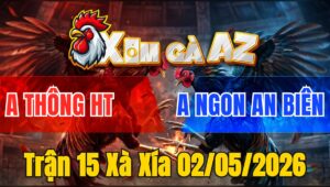 Trận 15 Xà Xía 02/05/2026 - Điều Đâm Đầu Cần Bướm Ói Xỉu Bưng Ra