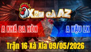 Trận 16 Xà Xía 09/05/2026 - Bướm Đá Đòn Như Xe Đụng Úa Bay Bồ Nhanh Chóng